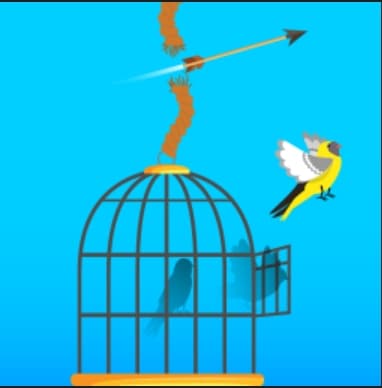 Play Free Birds online free - Puzzle game
