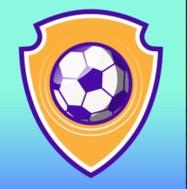 Play World Cup Fever online free - Puzzle game